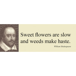 Magnet/Sweet flowers are